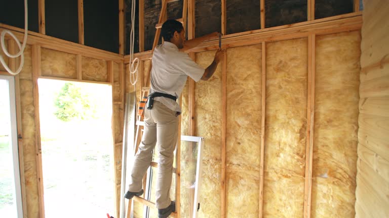 Best Spray Foam Insulation  in Nixon, TX