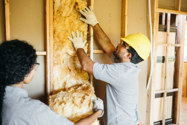 Professional Insulation in Nixon, TX